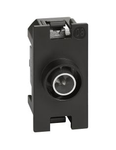 L.Now - Presa Tv Diretta  1 Mod