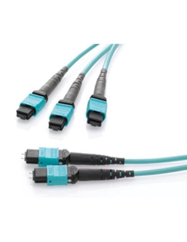 12-Fibre Om4 Multimode 5.0 Metre Hffr-Lseuroclass Eca Harness, Method B-Core, 12-Fibremale Mtp Connector To 0.5M Tails With