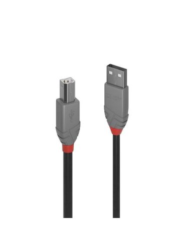 Cavo Lindy Usb 2.0 Anthra Line A-B M-M 2Mt