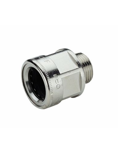 Racc. Taz/Taix-R. Tilok Maschio D25m25x
