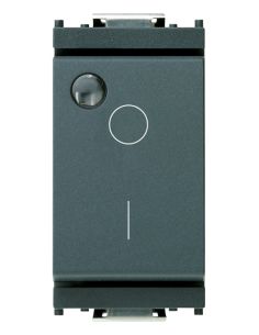 Interruttore 2P 16Ax Lum.So Grigio