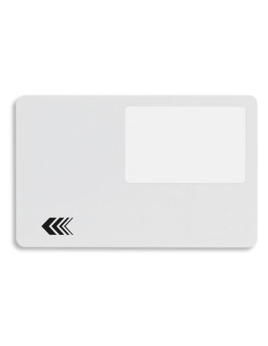 Carta Iso