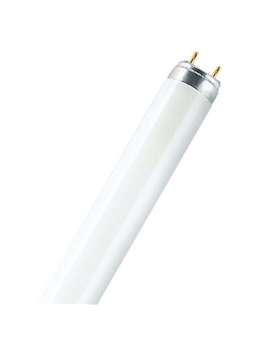 L 58W/865 Flh1                     Osram